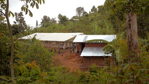 #16 Coop Kawa Kabuya, Congo: 1x Drip Coffee Bag
